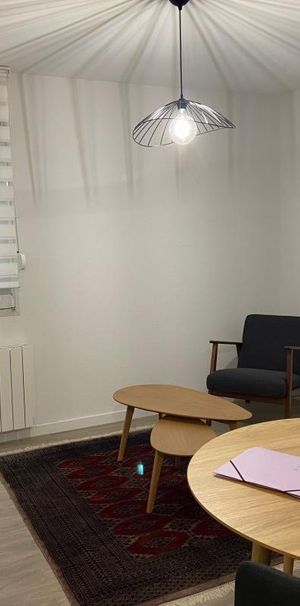 Location Appartement 2 pièces Meublé 35m² ANNECY 74000 - Photo 1