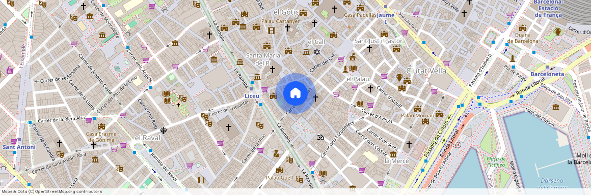 Carrer de Ferran, Barcelona