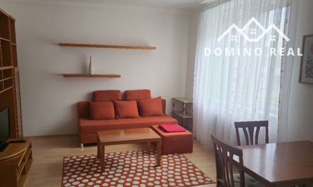 veľký 1 izbový byt na prenájom - Fotografia 3