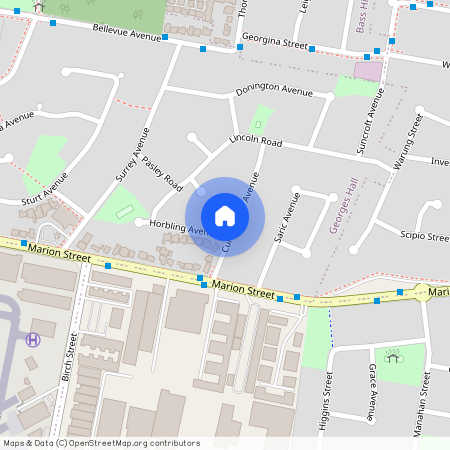 11 Horbling Avenue, NSW 2198, Georges Hall