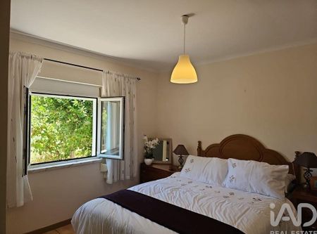 Santarém, Santarem - Photo 3