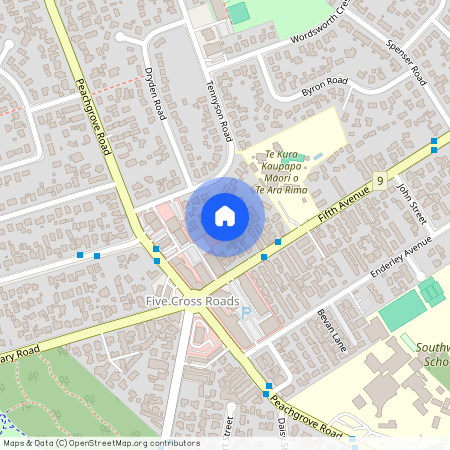 19C Fifth Avenue, Enderley, Hamilton City