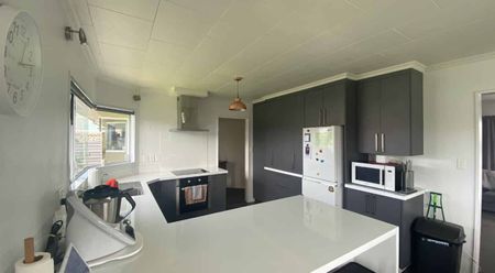 Tawa Street - Hawera - Photo 4