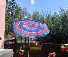 Studio/Γκαρσονιέρα για ενοικίαση - Μαρκόπουλο, - Photo 1