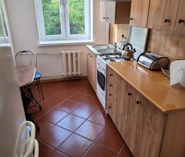 3609N, 2-p., 44m2, parter, blok 4-p., Centrum - Zdjęcie 3