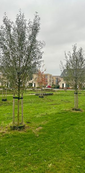 Te huur: Huis Kuifjestraat 90 in Lent - Foto 1