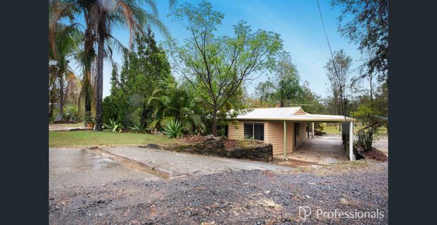 Renovated 3-Bedroom Home on 1.25 Acres in Town! - Privacy, Wildlife & Entertainer's Dream! - Photo 1