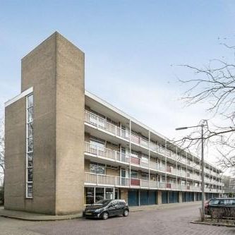 Valkhofplein 0ong, 6825 GN Arnhem, Nederland - Photo 4