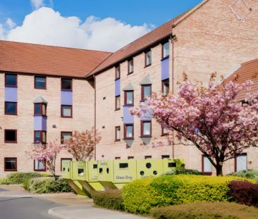 Standard Plus Room - Photo 4