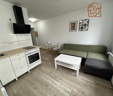 Częstochowa Ostatni Grosz, Bór - Photo 1