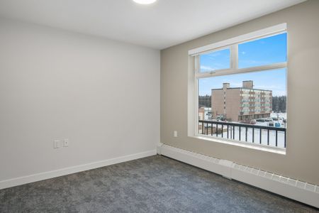 Wheelchair Accessible Units with Elevator in Downtown Red Deer. - Photo 5