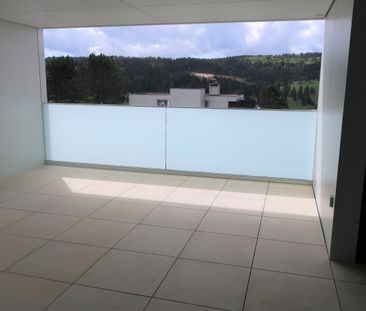 Spacieux appartement de 4.5 pièces avec grande terrasse - Photo 4