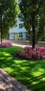 Castellana - Photo 3