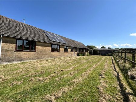 3 bedroom bungalow to rent - Photo 4
