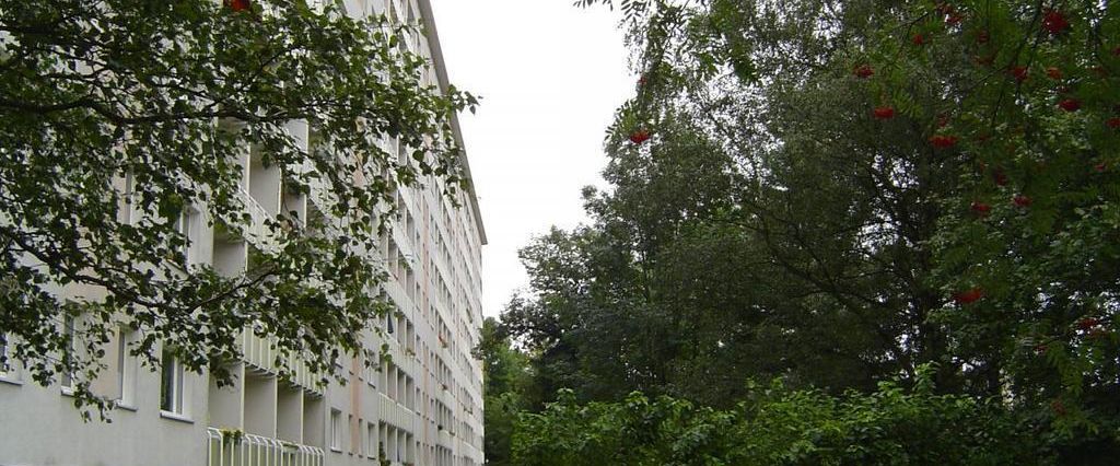 2-Raum-Wohnung - Foto 1