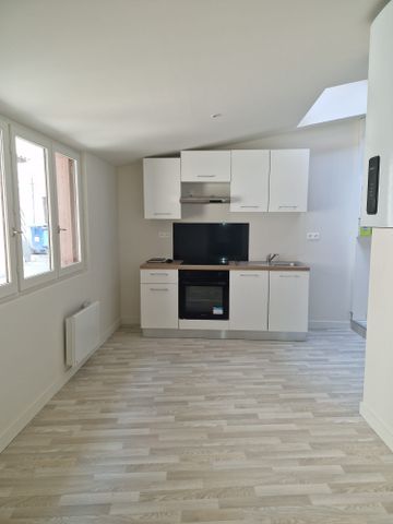 Location Appartement 4 pièces 60m² VIENNE 38200 - Photo 2