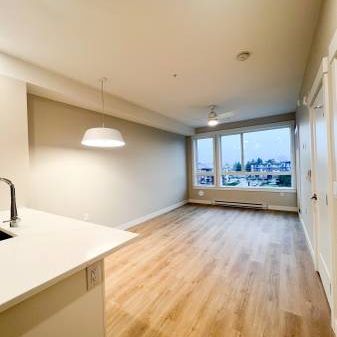 $1,550 / 1br - 548ft2 - New, Cat-Friendly 1 Bedroom Apartment - Photo 1