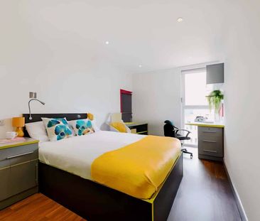 Studio Gold Plus - Photo 6