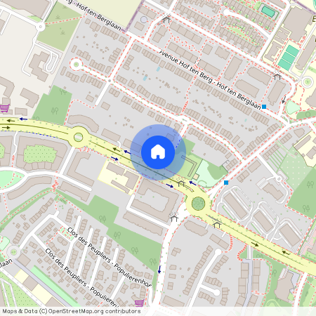 Avenue Marcel Thiry, 50, 10, 1200, Woluwe-Saint-Lambert