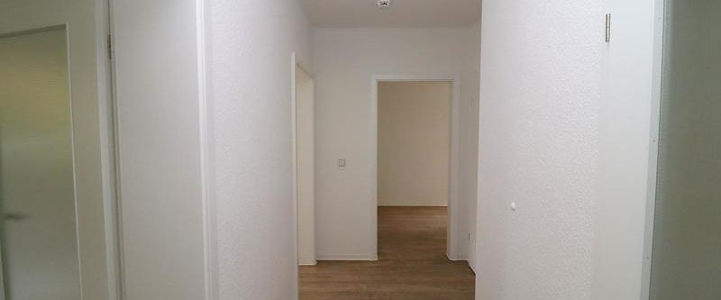 Licht, Sonne und nette Nachbarn: Kaßberg eben! - Foto 1