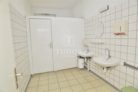 Dom na wynajem - Zdjęcie 3