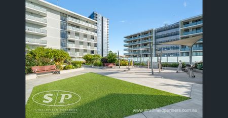 Stylish 2-Bedroom Apartment with Resort-Style Living - Photo 3