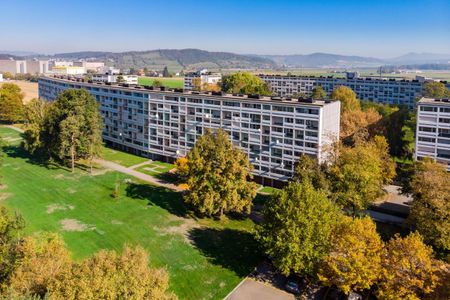 Great single apartment! - Foto 4