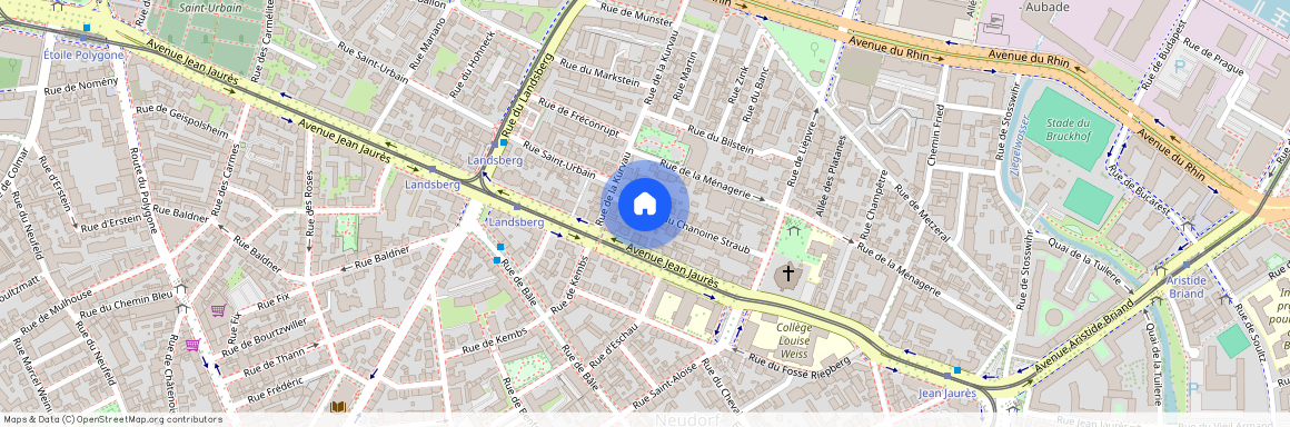 8 RUE CHANOINE STRAUB, Strasbourg