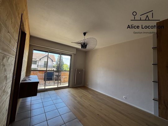 Location Appartement 2 pièces 42m² NEUVECELLE 74500 - Photo 1