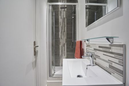 EDOUARD VAILLANT Roommate 5 Bedrooms at Lille - Photo 4