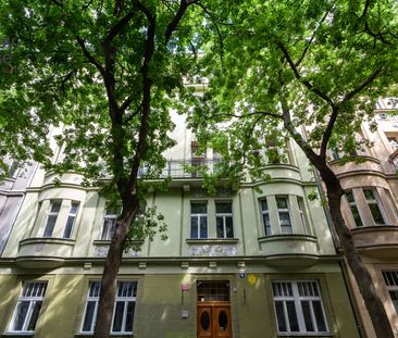 Pronájem bytu 1+1 55 m² - Fotografie 4