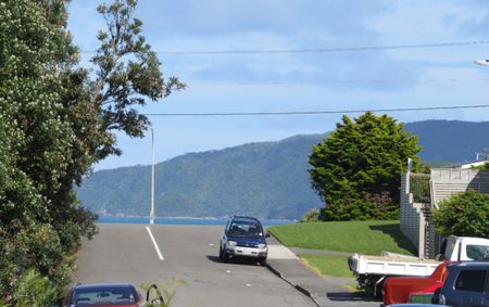 3 bedroom spacious private home in Paraparaumu Beach - Photo 3