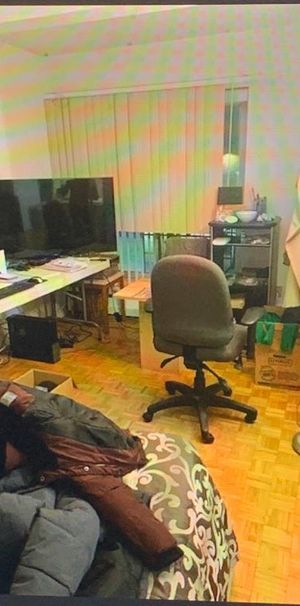 à louer/rent 3 1/2 - Photo 1