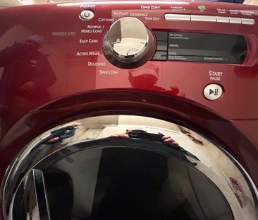 For Lease - 62 Newlands Ave Avenue Unit# Basement, Toronto, Ontario - Photo 5