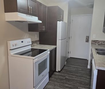 Modern Ground Floor 2 Bedroom in the Heart of Downtown - Photo 6