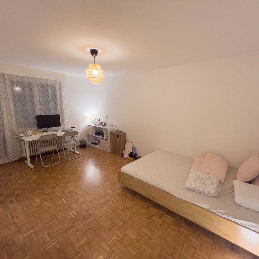 Wir suchen neue Mieter! Finding a new tenant! - Foto 1