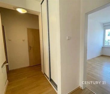 Pronájem slunného 4+kk s lodžií v ulici U mlýna, Záběhlice - Photo 5