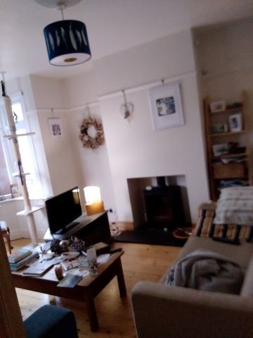 Room in a Shared House, Callington Road, BS4 - Photo 3