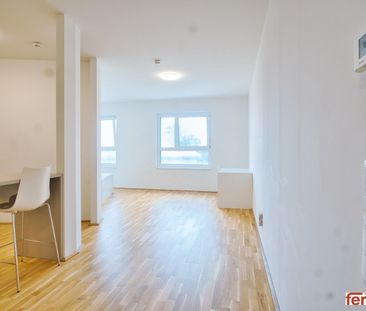 möblierte Apartments zur Kurzzeitmiete (2-12 Monate) / furnished ap... - Foto 1