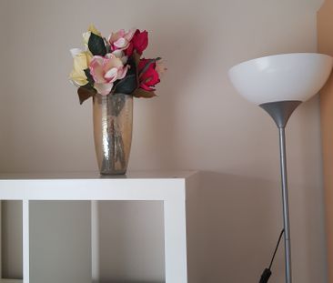 Dover Gardens - Photo 5