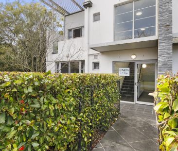 Spacious and sunlit 1 bedroom apartment - Photo 2