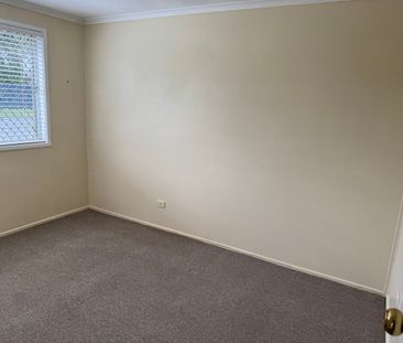 Tidy Family Home on Corner Block! - Photo 3