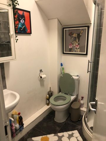 Studio Flat, Robert Street, CR0 - Photo 4