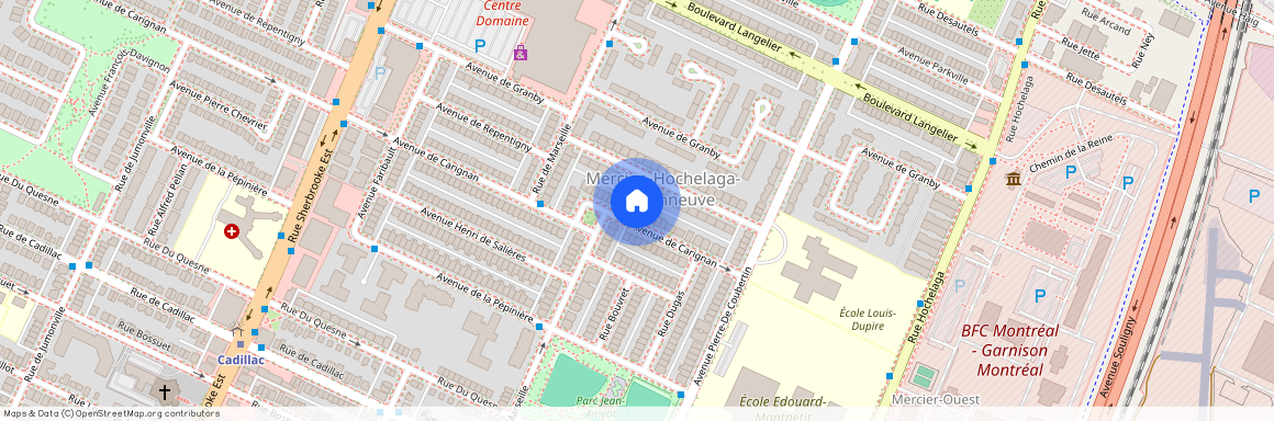 2863 Avenue de Carignan, Mercier-Hochelaga-Maisonneuve, Mercier-Hochelaga-Maisonneuve, Ile de Montréal, H1N 3N3