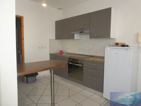 Location Appartement 1 pièce 49m² LOURDES 65100 - Photo 4