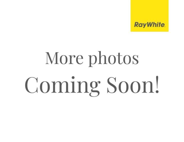 So Much for So Little - Photo 1