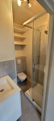 Location Appartement 1 pièce 20m² ORLEANS 45000 - Photo 5