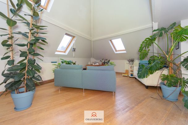 Prachtig BEMEUBELD dakappartement met terras vlakbij Zuid - Photo 1