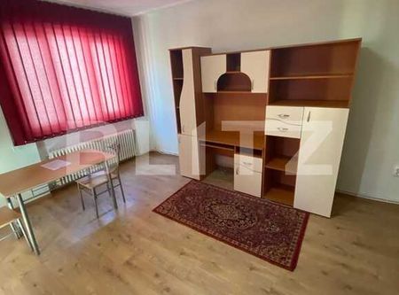 Apartament de inchiriat cu 1 camera, 45 mp, zona P-ta Mihai Viteazu - Fotografie 2