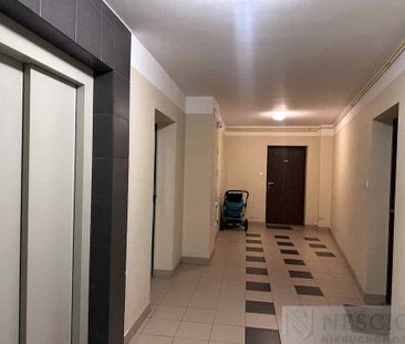 Siedlce - Zdjęcie 3